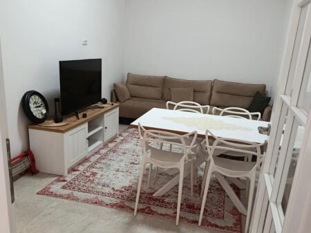 APARTMENT FOR RENT 1+1, PALLATI ME SHIGJETA