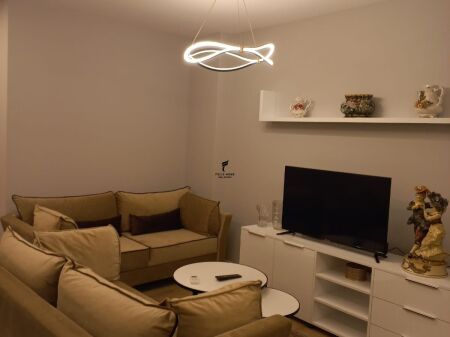APARTMENT FOR RENT 1+1 PARIS MUNICIPALITY 65,000 LEKE FH-88850