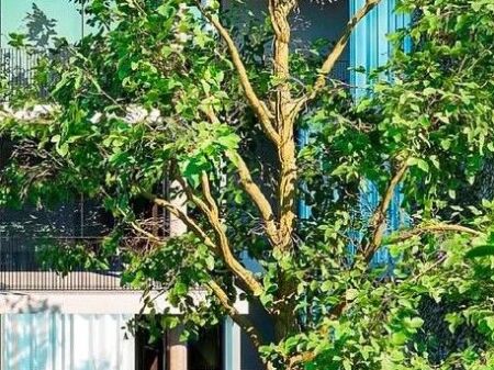  OKAZION | 1,600 €/m² | BY LONG HILL RESIDENCE 