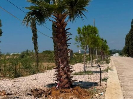  SHITET DUPLEX 2+1 + 2 TUALETE | TURQUOISE MARINA – GJIRI I LALZIT 