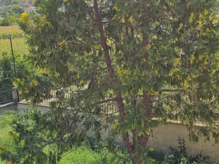 VILLA  200 thousand euros