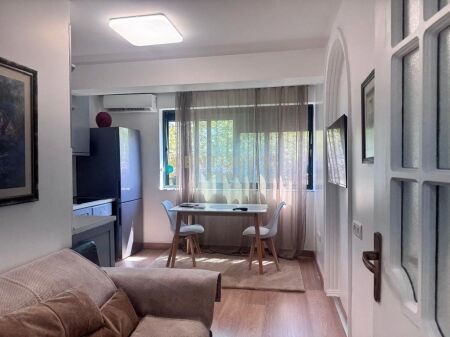 2 Apartamente 1+1 me Airbnb Aktiv – Myslym Shyri