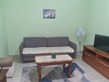 Rent | Apartament 1 + 1 | Profarma | 300 €/month