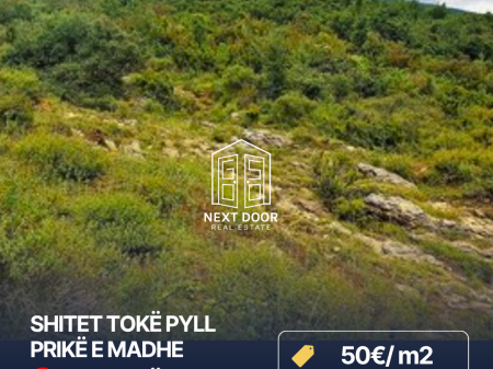SHITET TOKË PYLL-PRISKË E MADHE ,TIRANË