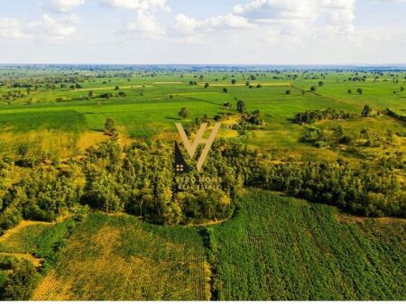 SHITET TOKE 1.000 M2 NE IBE E POSHTME 11.500.000 LEKE