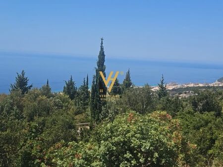 TERRENO IN VENDITA 1.000 M2 A PALASE 220.000 EURO