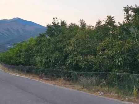 Shitet toke are prane Llixhave Termale te Benjes , Permet .