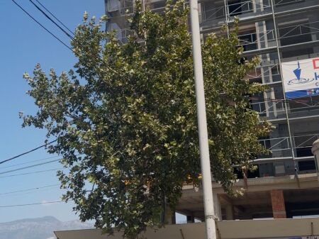 Rrethi Bathores ,Bluevardi BluShesim super apartament 1+1