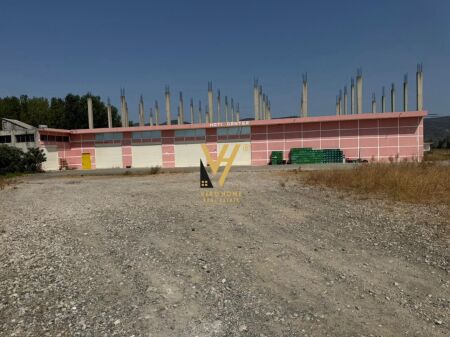 JEPET MAGAZINE 6.000 M2 ME QIRA TE KRYQEZIMI I RRILES, LEZHE 4.000 EURO