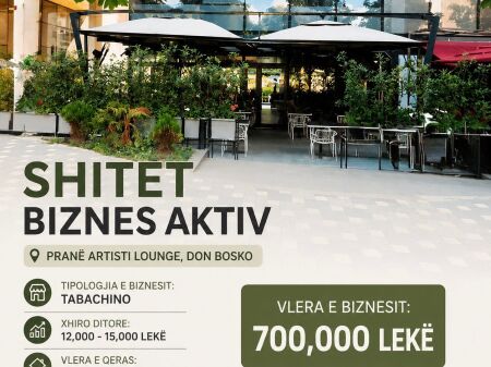  SHITET BIZNES AKTIV – DON BOSKO