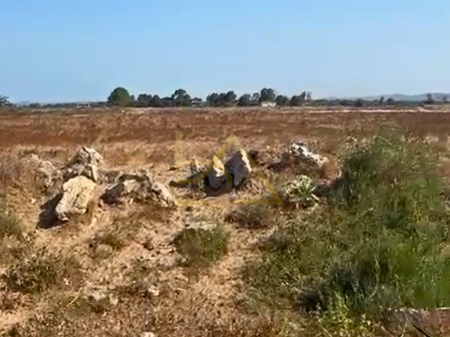 SHITET TOKË – RINIA, DURRËS
