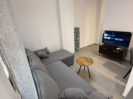 Apartament me qira 1+1 Liqeni Artificial