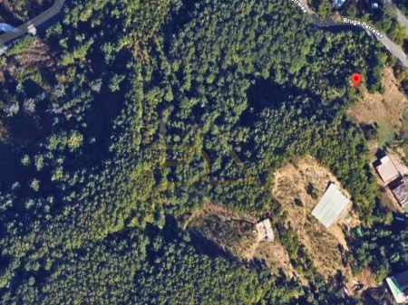 SHITET TOKË – HYRJE E PETRELËS, TIRANË