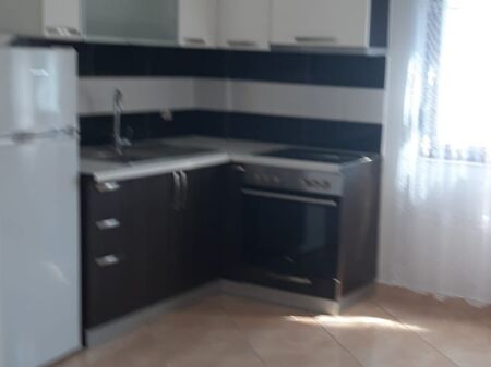 For rent Apartment 2+1, Gjon Mili street near Frigoriferit  400 thousand old lek