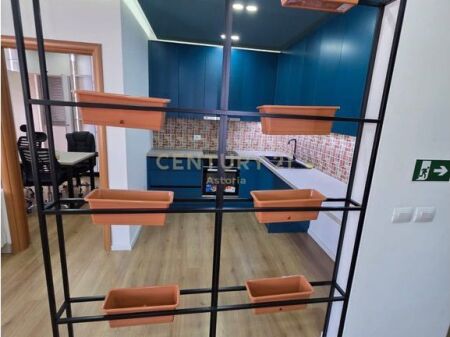 FOR RENT 1+1 APARTMENT FOR OFFICES NEAR DELIJORGJI