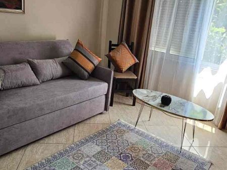 Apartment 1+1 for rent Embassy Block