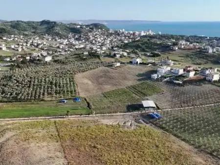 Shitet toke ne Arapaj , prane Plepave , Plazh Durres , Golem , Mali i Robit , Shkembi i Kavajes .
