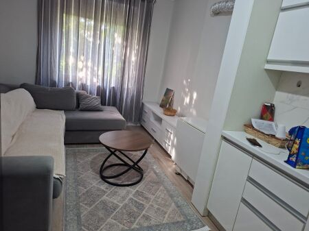 Apartment 2+1 for rent at Ura e Tabakeve