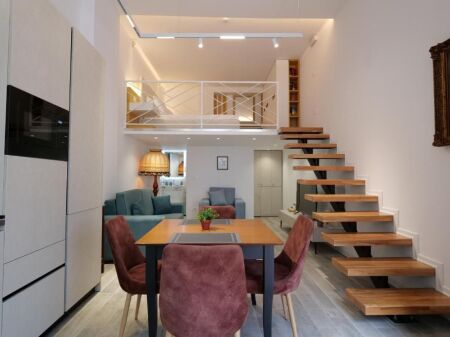 2 Apartament Duplex me Qira Ali Demi Tirane
