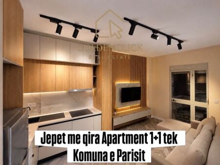 Affittasi appartamento 1+1 presso il Comune di Parigi