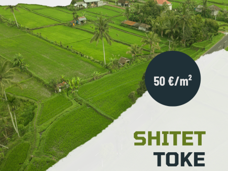  SHITET TOKË 12,000 m² – AFËR RINASIT | ÇMIM OKAZION