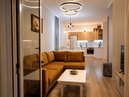 ARTIFICIAL LAKE, APARTMENT FOR RENT 2+1
