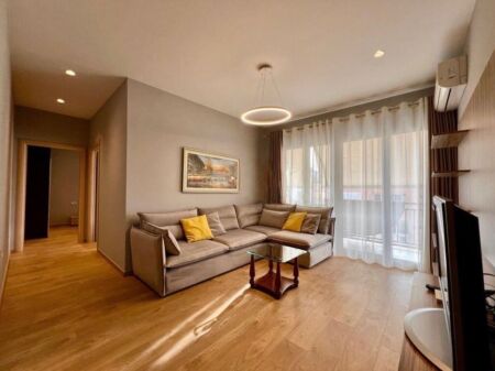 🏡 2+1 APARTMENT FOR RENT – PARIS MUNICIPALITY | VIEW OF THE ARTIFICIAL LAKE 🌊