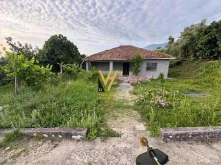 SHITET TRUALL + SHTEPI NE FARKE TE VOGEL 360.000 EURO