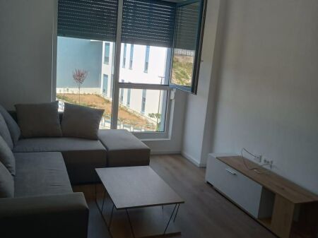 Apartment 1+1 for rent