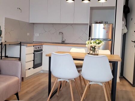 Apartment 1+1 for rent near Mihal Grameno School