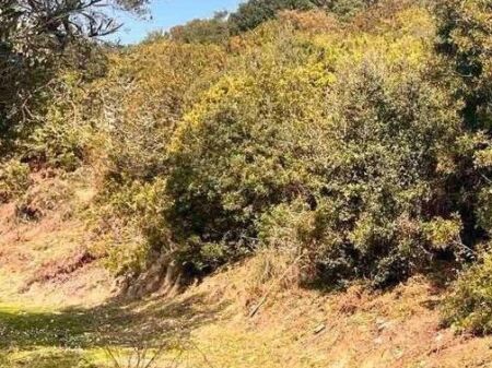  LAND FOR SALE | LUKOVË 