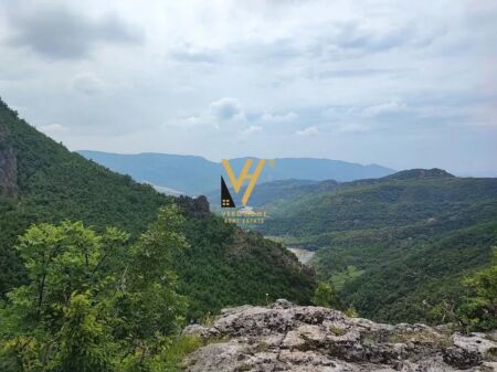 SHITET TOKE 1.000 M2 NE IBE E POSHTME 12.500.000 LEKE