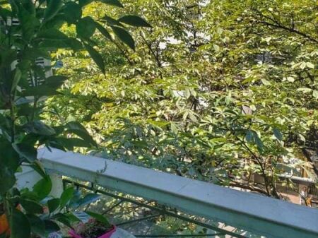 Apartament 2+1 me Qira në Bllok – Afër Sheshit Wilson, Tiranë