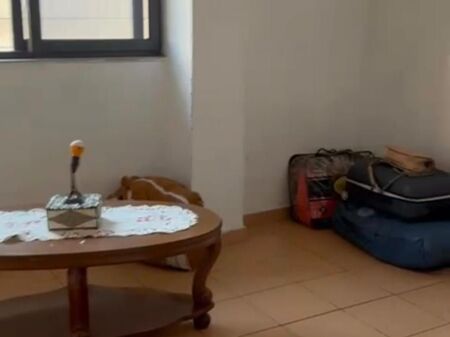 Piano Villa Vuoto in Affitto su Nuovo Viale, vicino alla Locomotiva  ID 5499