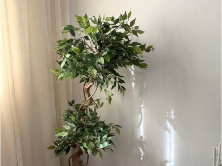 Apartament modern 2+1 per qira ne Qender