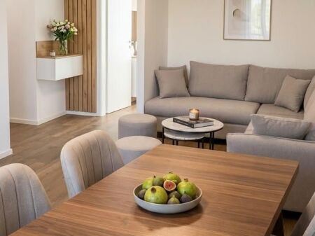 Apartament 1+1 per qera Ali Demi !