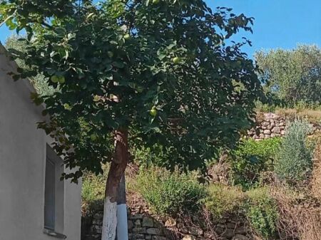 Shitet Trruall & Shtepi Private Sarande Qafe Gjashte