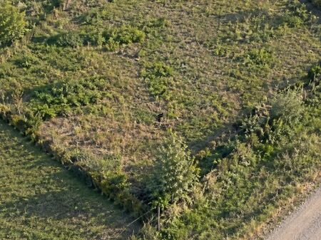 LAND FOR SALE 3,000 M2 MAMINAS 155,000 EURO FH-93055