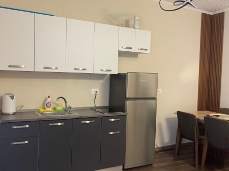 Apartament 1+1 mine peza, prane le bon, shpi private, 600 mij lek