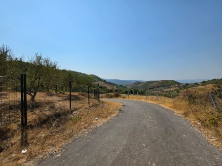 SHITET: TOKË PREMIUM NË PICALLË – 2,000 m² | INVESTIM ME POTENCIAL TË JASHTËZAKONSHËM 