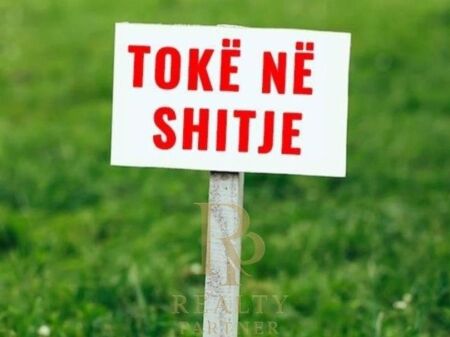 SHITET TOKE NE LUNDER