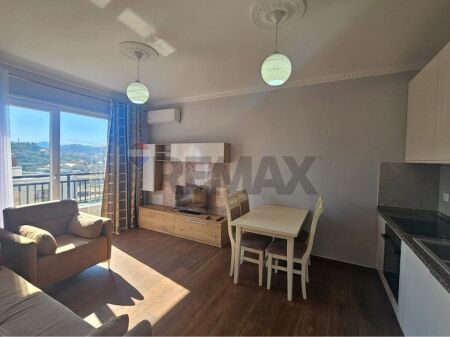 Apartment 1+1 for rent in Astir!