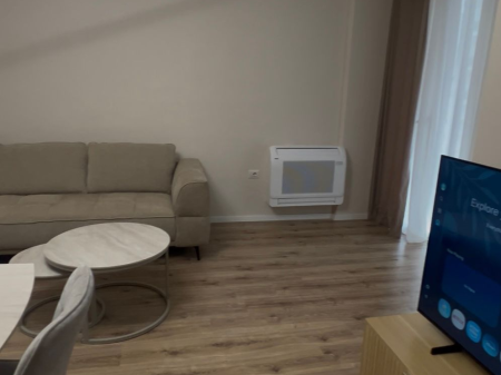 Apartment 1+1 for rent with parking space at Complex E-88