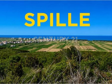 TOKE NE SPILLE ME PAMJE NGA DETI NE KODER PER SHITJE !