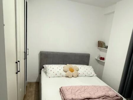 Apartment 1+1 for rent
