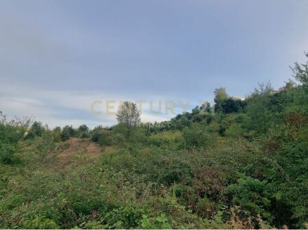 Tokë Për Shitje në KOMBINAT, Sharrë, Tiranë - 48,400,000LEKE | 9680 m²