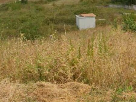 🌳 TERRENO IN VENDITA 6.600 m² | AUTOSTRADA TIRANA–DURRËS 📍