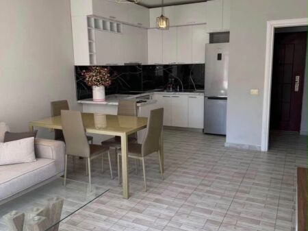 Apartament 2+1 m Qira ne Astir