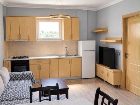 AP. 2+1 for rent, Center