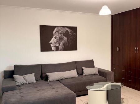 Apartament me qera 1+1 Rruga Fortuzi